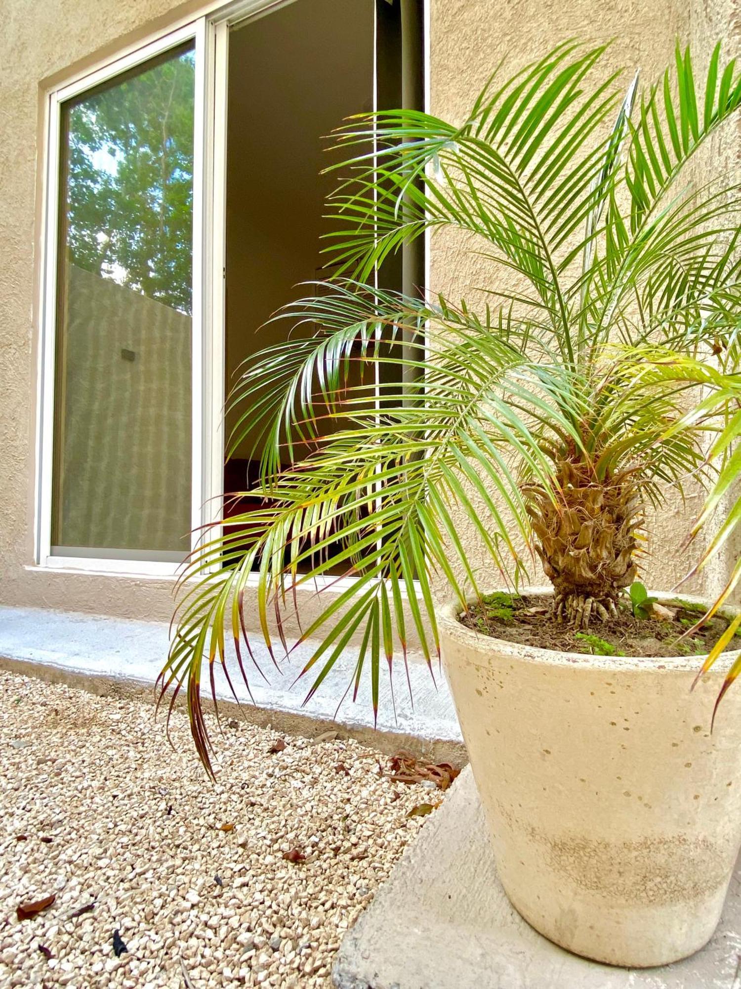 Casa Etna Lejlighed Cancún Eksteriør billede